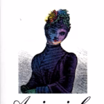Capa do livro: A Viuvinha