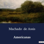 Capa do livro: Americanas