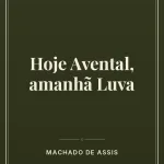Capa do livro: Hoje Avental, amanhã Luva